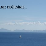Yalnız değilsiniz…